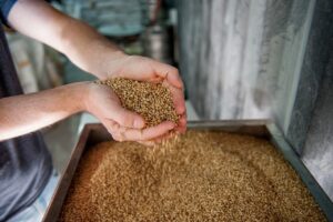 Verwoestende brand legt brouwerij en woning in Ossenisse in de as