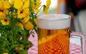 De Oorsprong van de Naam ‘Bierkade’