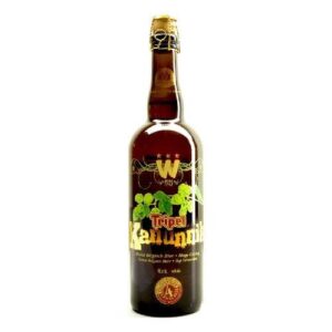 Ontdek de Smaak van Wilderen Tripel Kanunnik: Een Hemelse Brouwsel