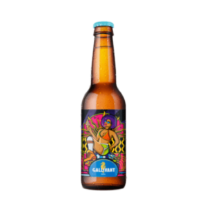 Ontdek de Verfrissende Smaak van Gallivant Disco Dipa 33CL